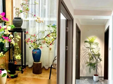 Dù nhà có rộng đến đâu, 5 vị trí này tuyệt đối không nên đặt hoa hoặc cây xanh, kẻo 'hoa thịnh người suy'