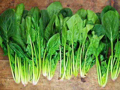 “Siêu thực phẩm” cực tốt cho làn da, giúp da nàng mướt mịn sáng khỏe