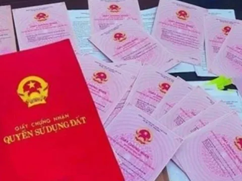Cấp tốc: Hà Nội thu thập thông tin sổ đỏ và chủ sở hữu trong 90 ngày