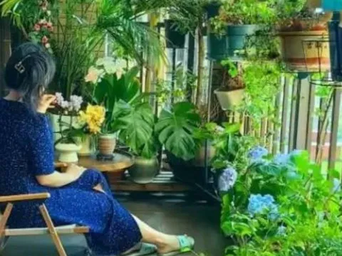 5 vật tuyệt đối không đặt trên ban công, giúp ngôi nhà hút tài lộc và may mắn ngay lập tức