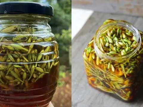 Bị bệnh gì có thể dùng hoa đu đủ đực ngâm mật ong?