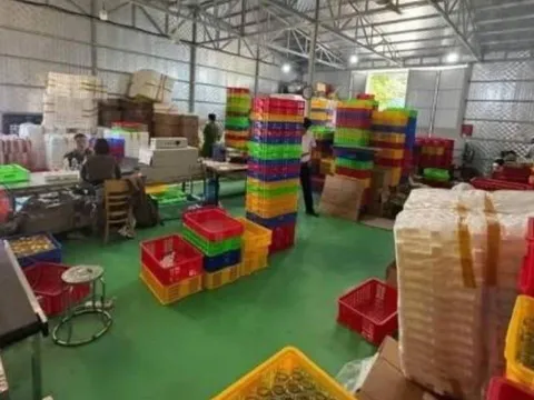 Công an triệt phá đường dây sản xuất yến giả quy mô lớn, thu giữ gần 38.000 lọ nước yến