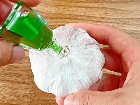 Nhỏ vài giọt dầu gió lên củ tỏi: Mẹo hay cả nam và nữ đều cần tiết kiệm tiền triệu hàng tháng