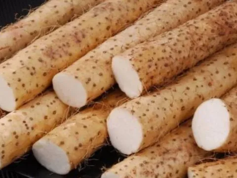 Loại củ phơi khô rẻ tiền ở Việt Nam được ví như 'thuốc trường thọ': Tốt cho thận, ổn định đường huyết
