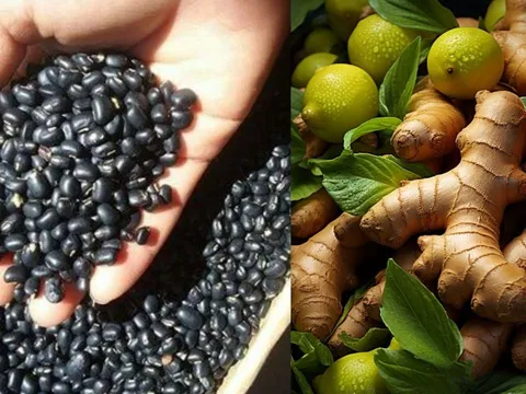  Vì sao nên thêm gừng vào nước đậu đen? Cách nấu nước đậu đen để không có tác dụng phụ