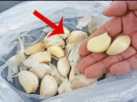 Mẹo bóc vỏ tỏi nhanh nhát, tay không bị bám mùi