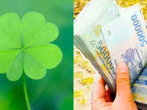 3 con giáp mang 'thiên mệnh công danh' được ví như 'ông hoàng công việc', làm gì cũng ra tiền