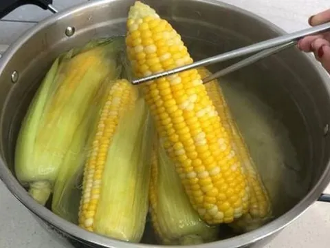 Ăn ngô luộc cực hại với 5 nhóm người này