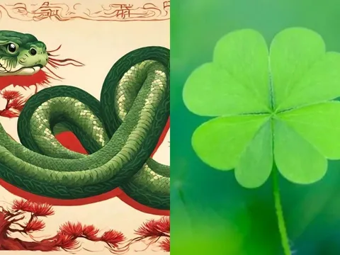13 ngày cuối tháng 9 (18-30/9): 3 con giáp tắm trong cơn mưa tiền, cuối năm thành ông hoàng thịnh vượng