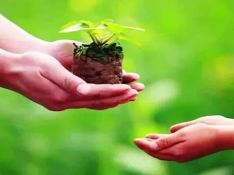 3 cách phong thủy xả xui cuối tháng cô hồn, rước tài lộc, may mắn đầu tháng mới