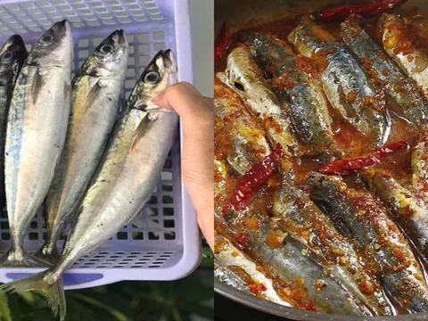 Loại cá “bình dân” mà bổ dưỡng không ngờ, giàu omega-3 hơn cả cá hồi