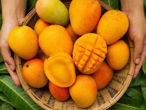 10 lợi ích bất ngờ của quả xoài, không biết quá phí