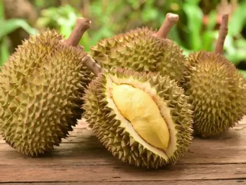 Bí quyết để chọn sầu riêng ngon nằm ở việc: chọn sầu riêng cái. Vậy làm sao để chọn được sầu riêng cái?