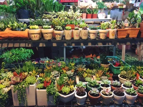 Chọn phương hướng tốt cho từng cửa hàng kinh doanh buôn bán phát đạt
