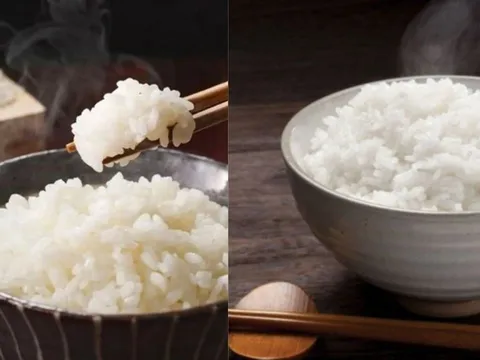 Mẹo ăn Cơm Trắng để không lo tăng đường huyết và béo phì: Ăn cho đã thèm mà vẫn khỏe