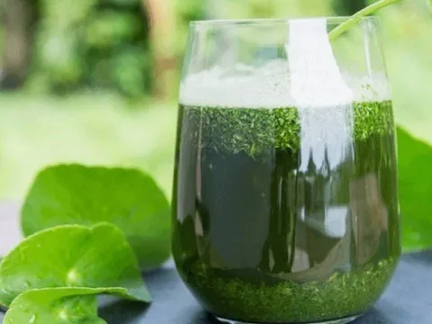 Những người tuyệt đối nên tránh uống nước rau má: Cảnh báo tác hại sức khỏe ít người biết