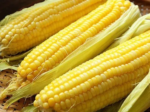 Ăn ngô luộc cực hại cho 5 nhóm người này