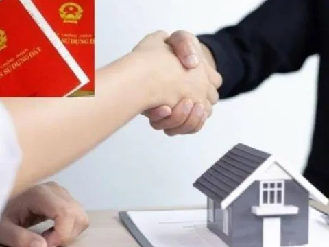 6 trường hợp bị “chặn đứng” quyền sang tên sổ đỏ theo quy định mới nhất, bạn có thuộc diện này?
