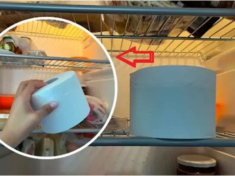 Bỏ cuộn giấy vệ sinh trong tủ lạnh, tiết kiệm 300 nghìn/tháng