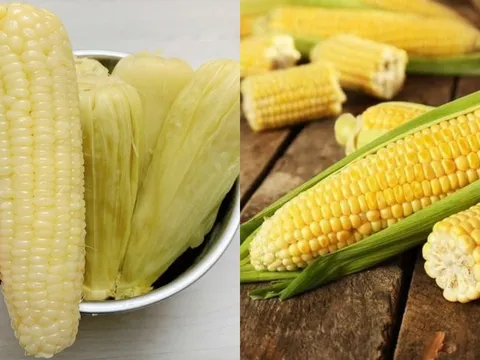Ngô tốt cho sức khỏe, nhưng ăn sai cách có thể rước bệnh vào thân, đặc biệt 3 nhóm người này