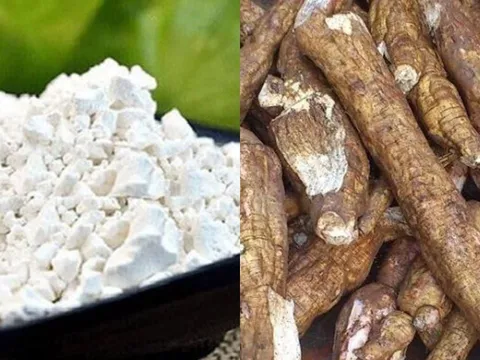 Bột sắn dây, uống thế nào để giải độc gan?