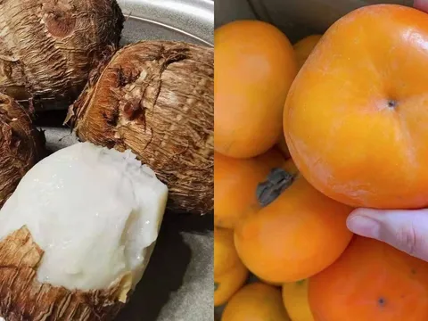 'Kẻ thù không đội trời chung' của khoai sọ: 2 thứ tuyệt đối không được ăn chung, kẻo rước bệnh vào người