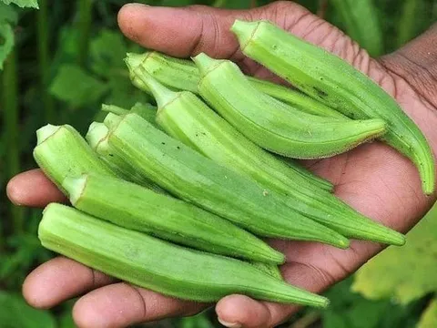 4 loại rau quý ngang nhân sâm bác sĩ khuyên ăn nhiều, chợ Việt chỉ cần 10k đủ 4 người ăn