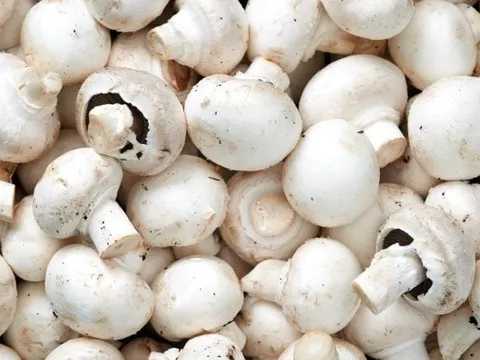 5 thực phẩm màu trắng tốt cho sức khỏe