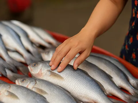 Cá tươi nhìn đẹp nhưng toàn urê, hàn the? 6 dấu hiệu "vạch mặt" cá tẩm hóa chất chị em phải nhớ