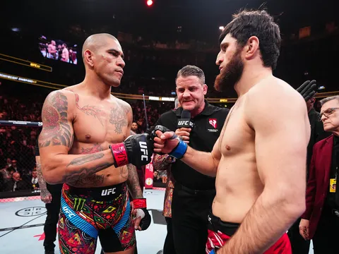 Alex Pereira nổi đóa, gọi Magomed Ankalaev là 'gã vô dụng' vì trốn tránh đối mặt