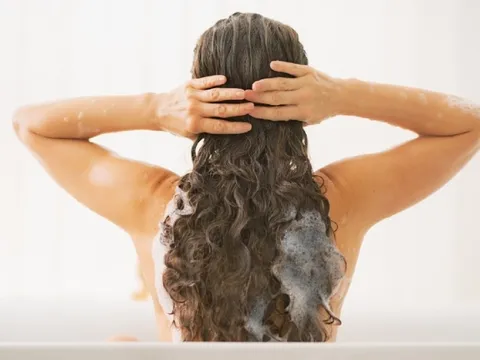 Lá tía tô – từ món rau quen thuộc đến “thần dược” cho mái tóc