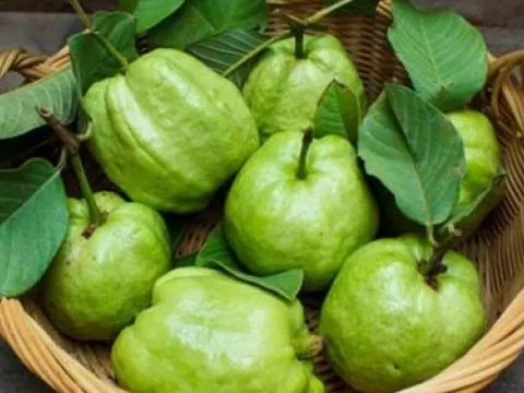 Quên cam, chanh đi: Loại quả này mới là giàu Vitamin C bậc nhất