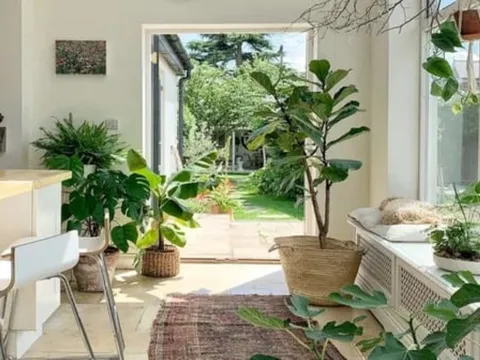 3 "thấy" điều này ở ngay lối vào nhà, chứng tỏ ngôi nhà vượng khí, nơi đón khí trời, tụ phúc, giữ lộc