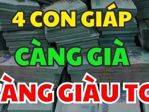 Khổ Trước Sướng Sau: 4 con giáp Vượng Vận nở muộn, phải lớn tuổi mới giàu