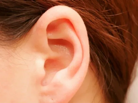 Nhìn tướng tai biết tương lai: Dành 1 phút quan sát tai, xem bạn có tướng giàu sang không?