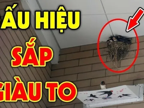 4 dấu hiệu nhà sắp trúng số giàu to