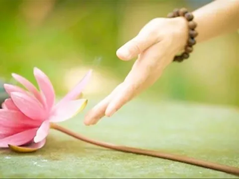 Tất cả những gì bạn cho đi, sẽ quay trở lại với bạn. Bạn có tin không?
