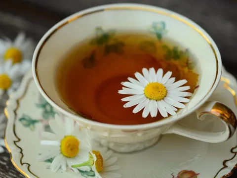 Thải độc cho cơ thể bằng trà hoa cúc