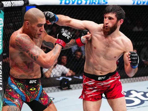 Alex Pereira bị xem thường trước UFC 320: "Chỉ là một gã kickboxer già cỗi"