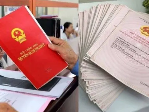 Thủ tục cấp lại sổ đỏ bị mất: 4 điểm quan trọng người dân phải chú ý