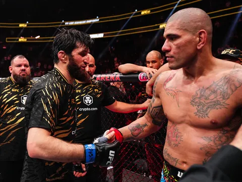 UFC 320: Pereira quyết tâm phục hận Ankalaev, Dvalishvili đối mặt thử thách từ Sandhagen