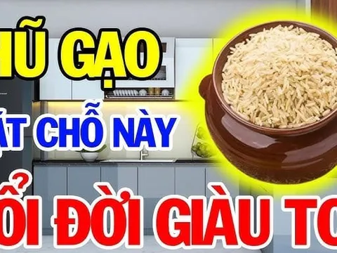 Hũ gạo đặt đúng chỗ này, Tiền Tài chảy về ào ạt