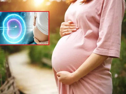 Từ hôm nay: Phụ nữ độc thân được làm IVF để sinh con