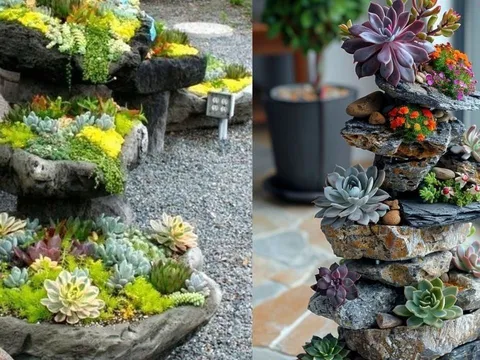 5 loại cây trong nhà nở hoa, báo điềm chẳng lành, hãy chú ý