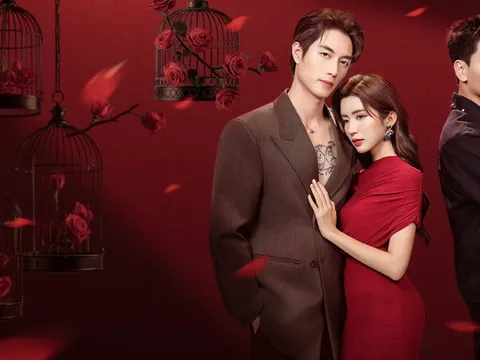 “Đứa con lai” của TikTok và Netflix trỗi dậy: Sản xuất vài ngày, kiếm trăm tỷ toàn cầu