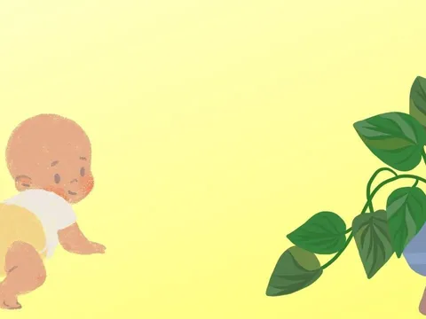 Nhà có con nhỏ, hãy cẩn trọng khi trồng 5 loại cây cảnh này