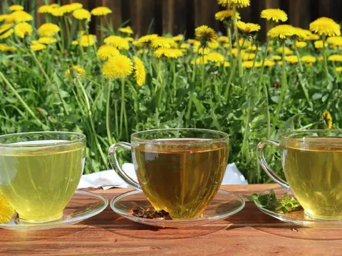 4 loại nước dân dã giúp thải độc gan thận, thanh lọc cơ thể, ổn định đường huyết