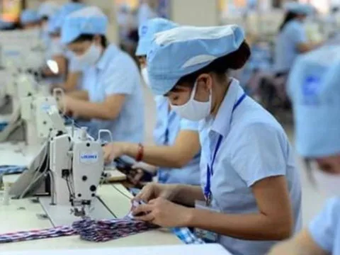 Tin vui: Người lao động tại khu vực này sắp được tăng lương tối thiểu thêm 900.000 đồng/tháng, hưởng lợi lớn