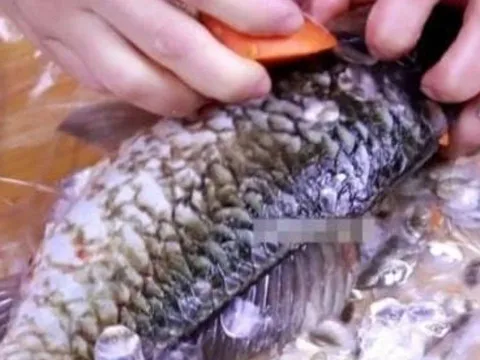 3 loại cá cần tránh mua ở chợ: Rẻ mấy cũng không nên, đặc biệt loại số 3 nhiều bà nội trợ thích