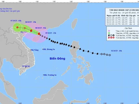 Cập nhật tin bão số 11: Bão Matmo suy yếu, bão Hạ Long đang mạnh lên